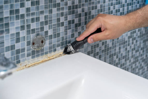 Best Best Mold Removal Companies  in Southwest Sandhill, TX